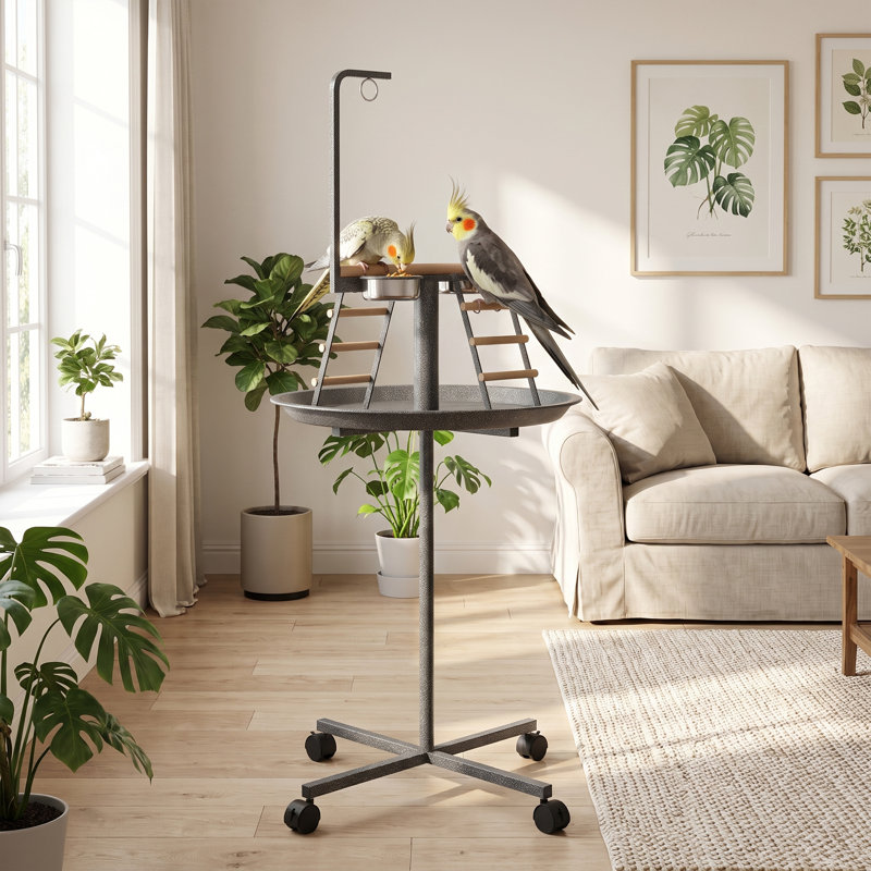 Support pour oiseaux, support pour perroquet avec roues, perchoir, bols en acier inoxydable, plateau rond pour l'intérieur et l'extérieur, gris foncé