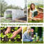 Arleane 4 x 3 x 2 m Polytunnel Greenhouse with Roll-up Side Walls White