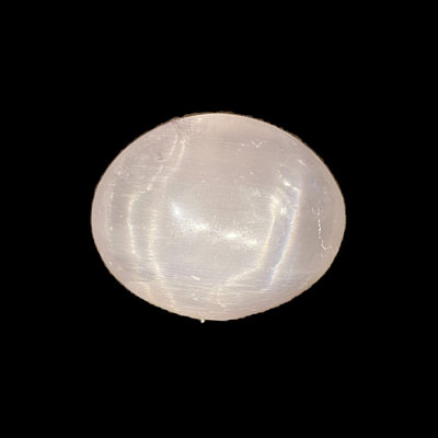 Pierre de palmier sélénite