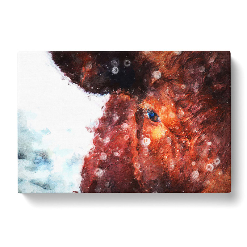 Bull Cow - Wrapped Canvas Print, 35cm H x 50cm W x 3cm D