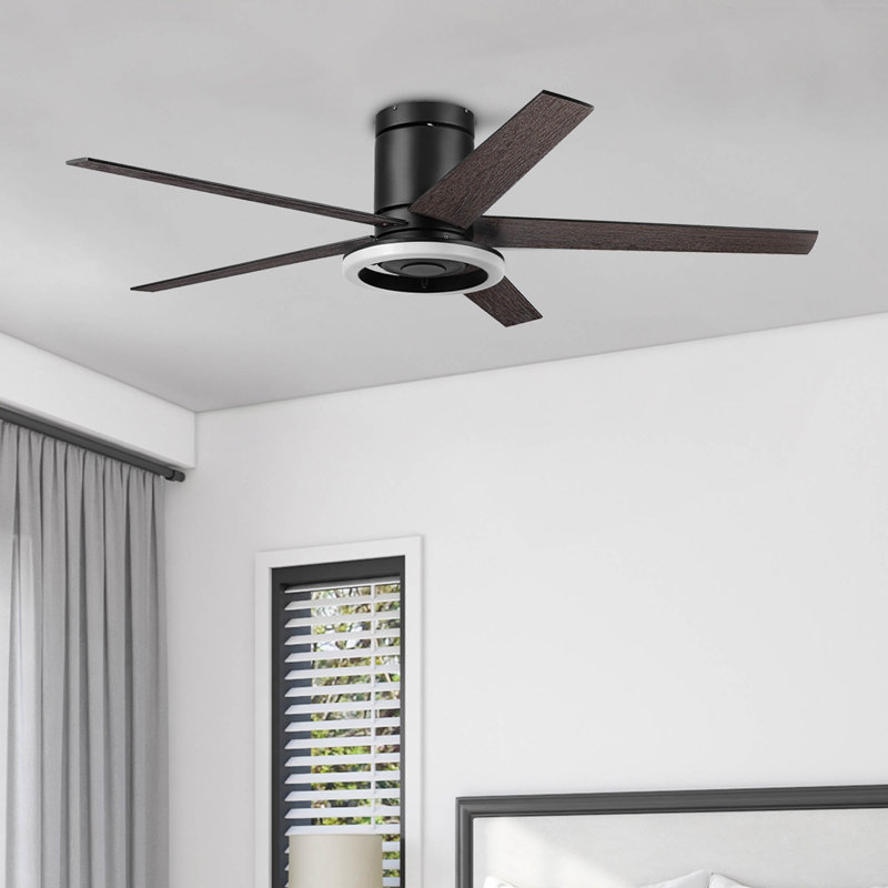 Ventilateur de plafond d'intérieur de 52 po avec télécommande et ensemble d'éclairage inclus Graceshire
