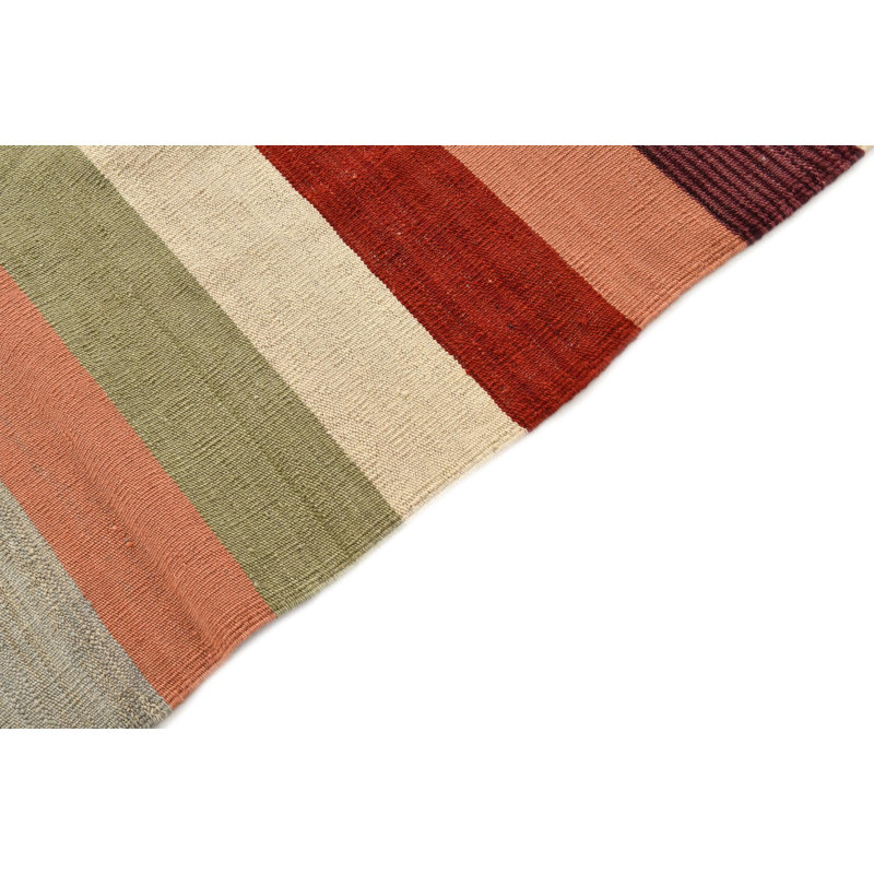 8x11 Petrella Multi Rug