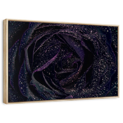 Rose noire scintillante
