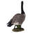 Standing Canada Goose Statue