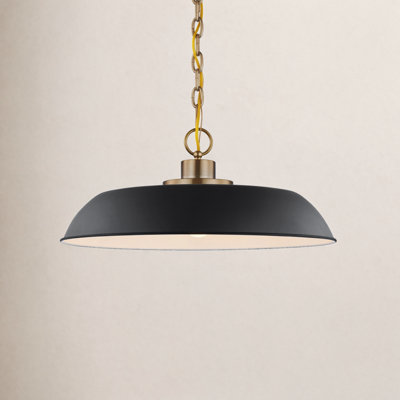Eddy Dimmable Dome Single Light Pendant