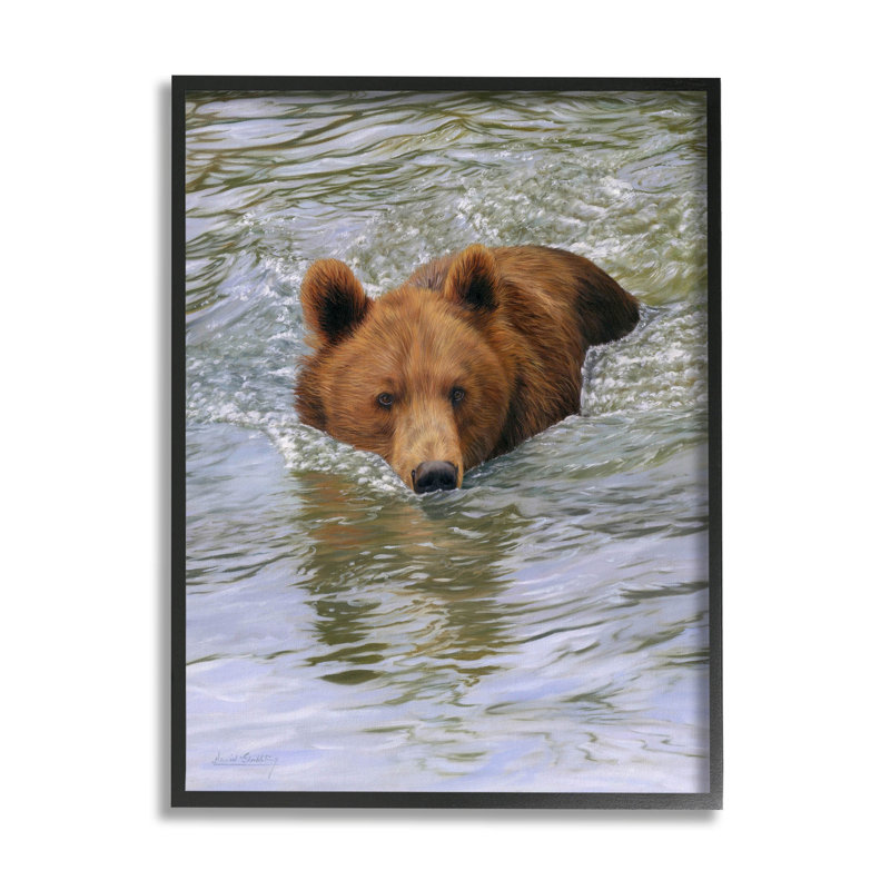 «Brown Bear Lake Water Splash», estampe numérique par Dave Stribble, Giclée encadrée noir minuit