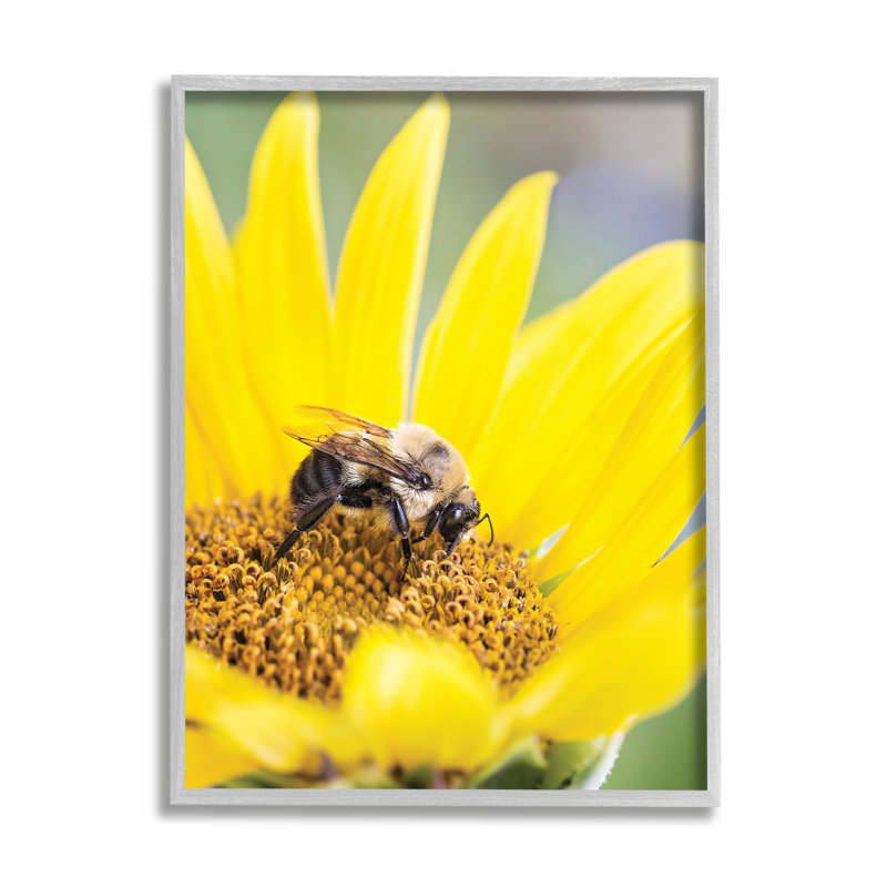 Abeille et tournesol par Karen Burke, H 30 po x l 24 po x P 1,5 po, Giclée encadrée noir minuit