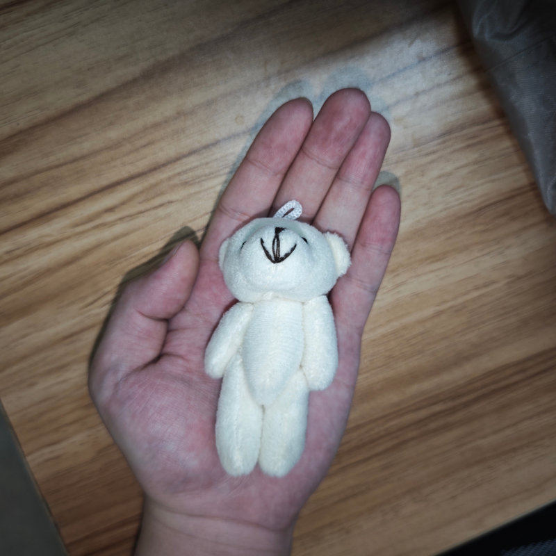 24 ours en peluche