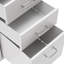 Lamekia 11'' Wide 3 -Drawer Mobile File Cabinet-1552543109
