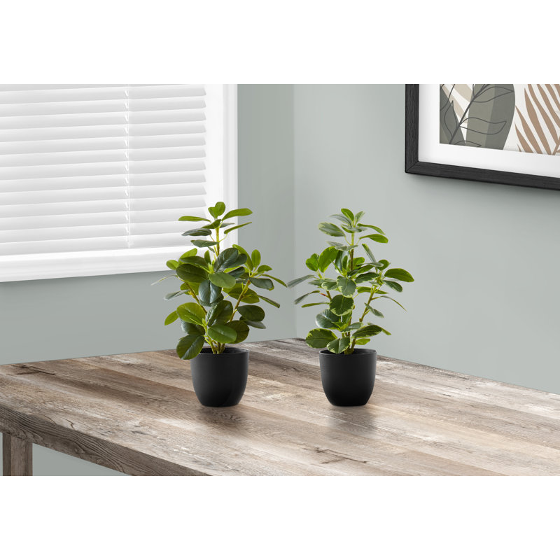 Martinez 14'' Faux Ficus Plant in Polypropylene (Pp) Pot