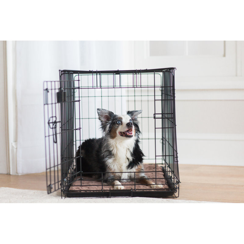 Tapis pour chien snoozzy, Très petit (l 18 po x P 13 po), Chocolat