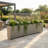 Terrace Divider Planter