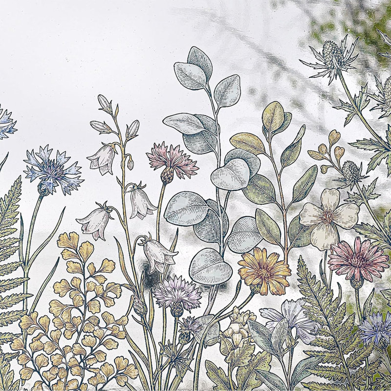 Spring's Knowledge of the Wilderness