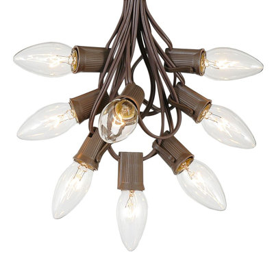 Fantaisie 25 pi pour l’extérieur 25 lumières Socorro