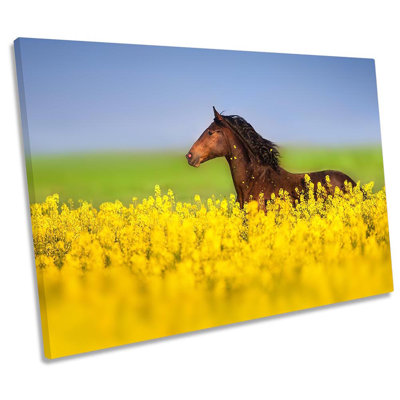 Horse Field Floral - Wrapped Canvas Print