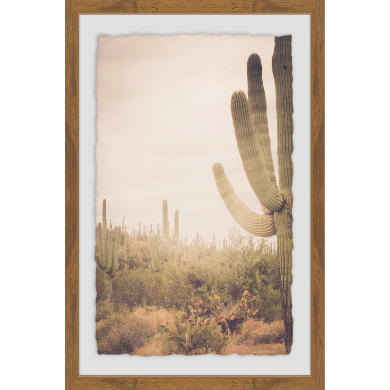 Saguaro Sunrise 1 Piece Single Picture Frame Wall Art, 61cm H x 41cm W x 4cm D