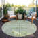 Chayden Area Rug