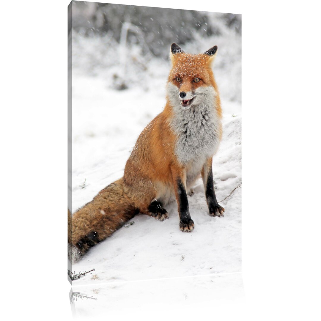 Leinwandbild Fuchs im Schnee