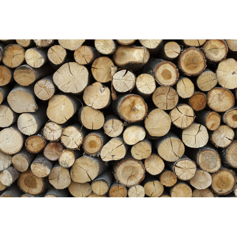 Sawed Tree Trunks par Artur - Photographie sur toile tendue, L 36 po x H 24 po