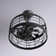 Pecor 18" Ceiling Fan with Light Kit and the Remote Included