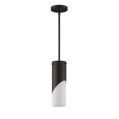 Luminaire suspendu 1 lumière DEL Alaunna