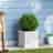 PLANTER