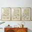 Adriana Classic Chinoiserie I - Impression personnalisée de qualité supérieure avec cadre mat - 3 pièces-109980740-109980736