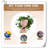 Kalesia Planter-1097718873