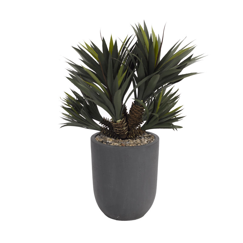 Faux Star Succulent Plant in Planter