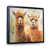 Black Floater Framed