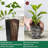 Tameiko Pot Planter-1811541199