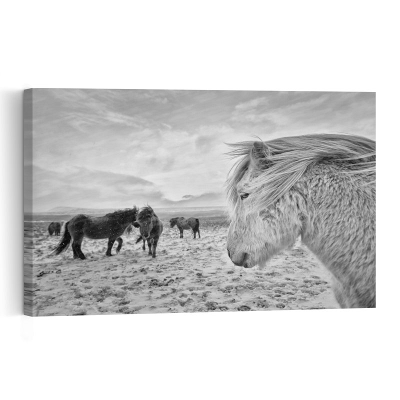 Chevaux sauvages en hiver - Paysage équestre abstrait et contemporain - Affiche murale nature, H 40 po x l 60 po