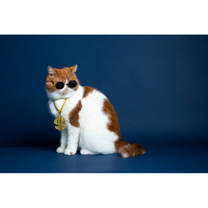 Garfield Cat par Zuyufang, H 12 po x l 18 po
