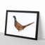 Pheasant Bird in Winter - Framed Print-56704609-56704611