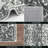 Deryan Oriental Indoor Rug