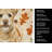 Wheaten Norfolk Terrier Heirloom Fall Kitchen Towel-1218231534