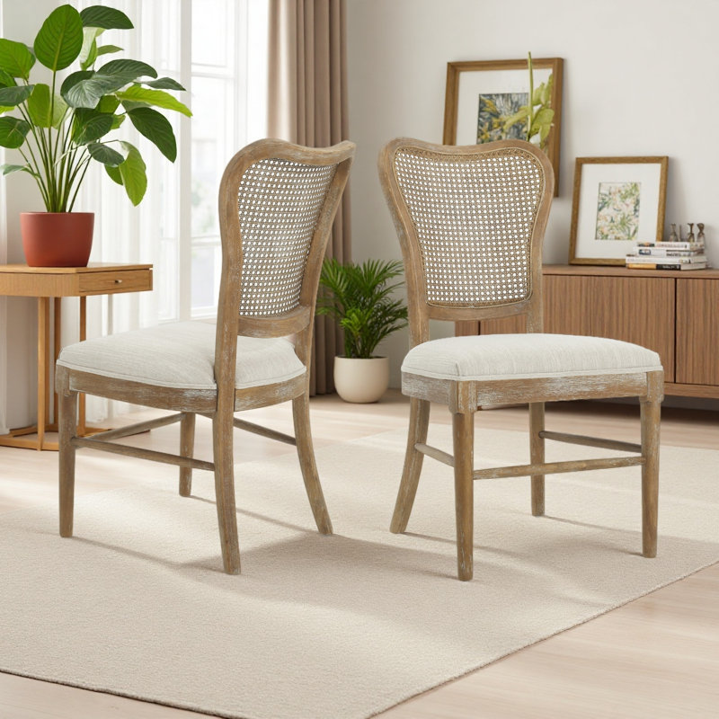 Chaise de salle à manger (ensemble de 2)