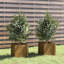 Alatea Wood Planter Box-967479410-967479408