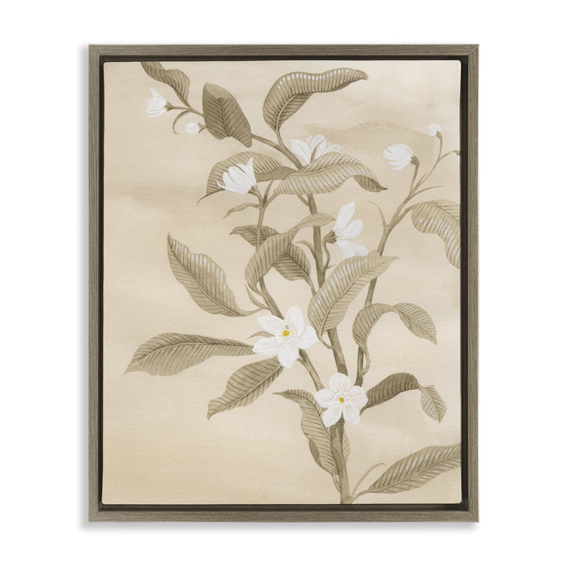  «Neutral White Daffodils», art mural encadré flottant par Grace Popp, H 31 po x l 25 po, Cadre flottant orme Montalcino