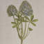 Décoration murale taupe - Ensemble de 4 panneaux de lin encadrés, illustration botanique