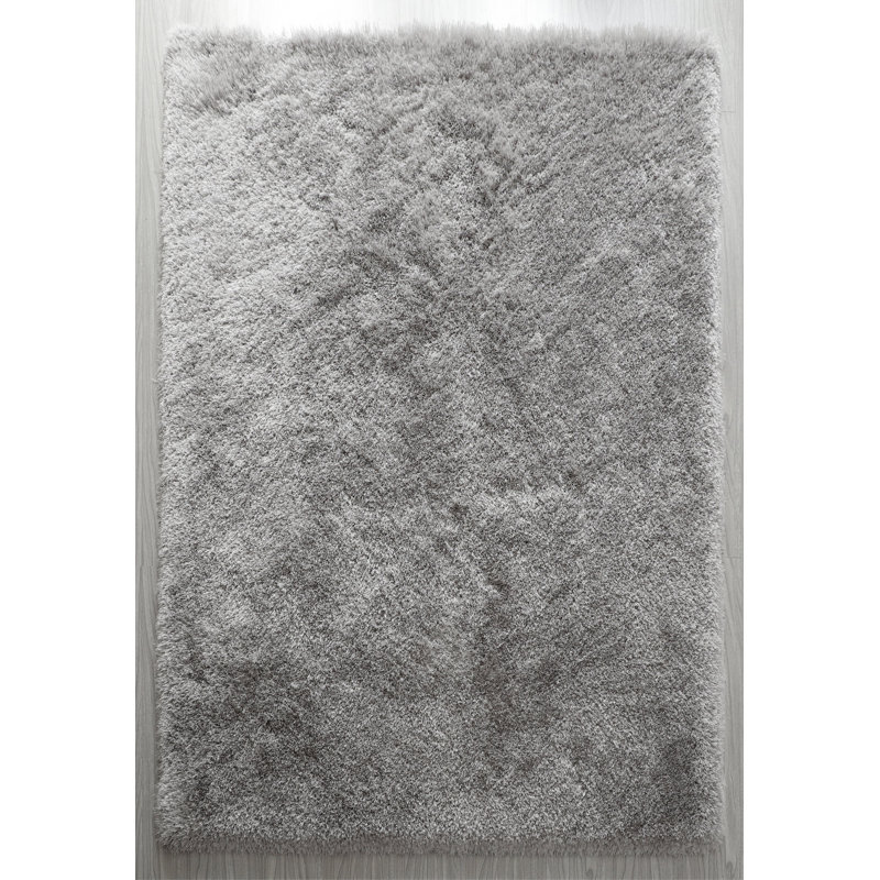 Tapis argenté à poils longs Selsey, Rectangle 4 pi x 6 pi