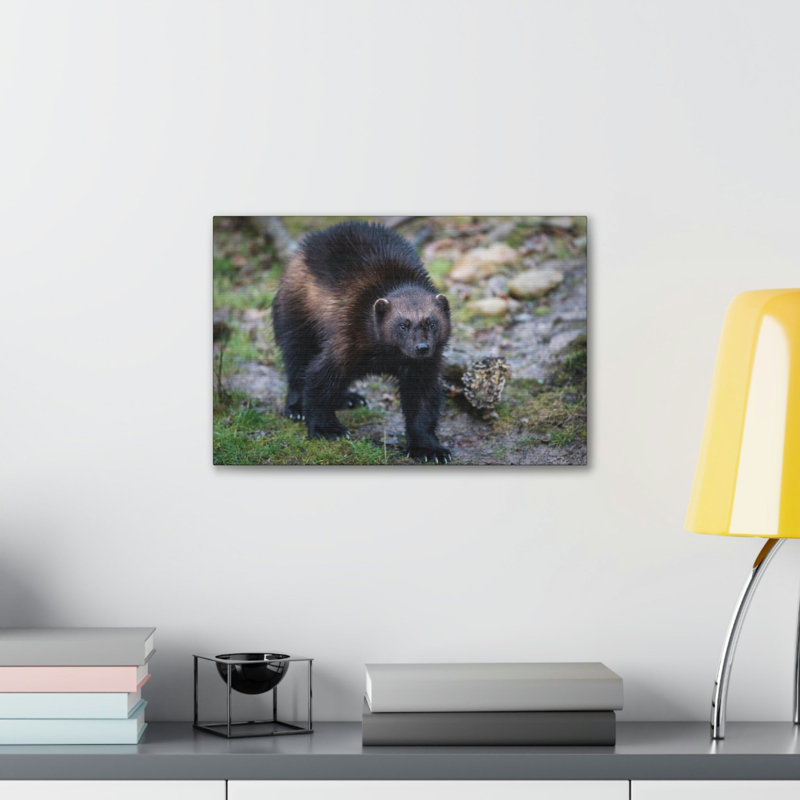 No Frame Print on Canvas