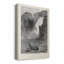The Upper Yellowstone Falls - Impression-48306996