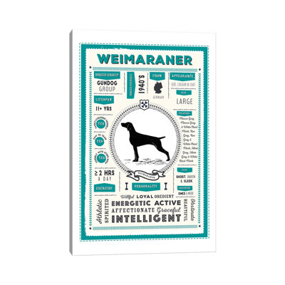 " Weimaraner Infographic Blue " by PaperPaintPixels
