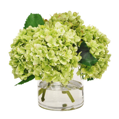 Hydrangea In Cylinder Vase