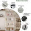 Display Cabinet-1138733523