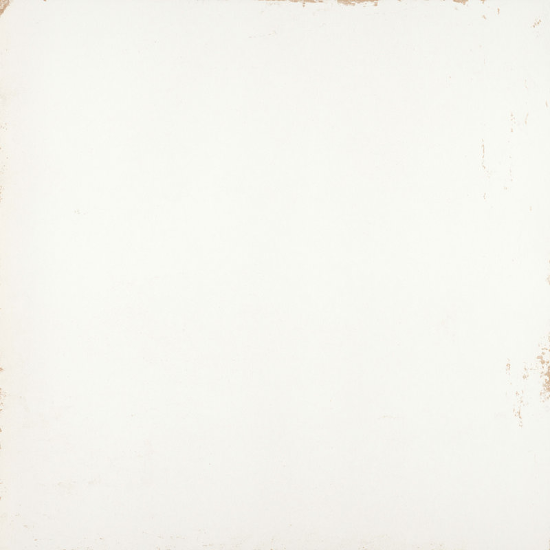 Cogent Silver 31 in. x 31 in. Matte Porcelain Floor and Wall Tile (13.67 sq. ft./Case), White