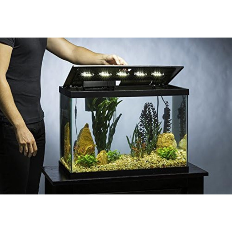 Tucker Murphy Pet™ 20 Gallons Rectangle Aquarium Stand