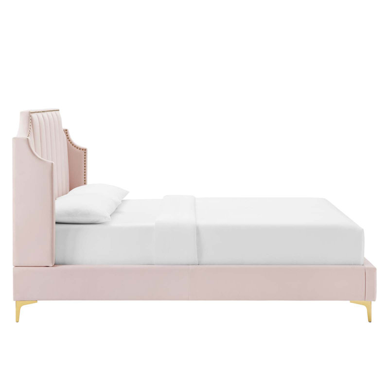 Pink Velvet Queen Platform Bed with Tufted Headboard and Nailhead Trim