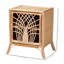Table de chevet en rotin brun naturel à 2 tablettes avec porte H 23,41 po x l 21,78 po x P 15,56 po Zane